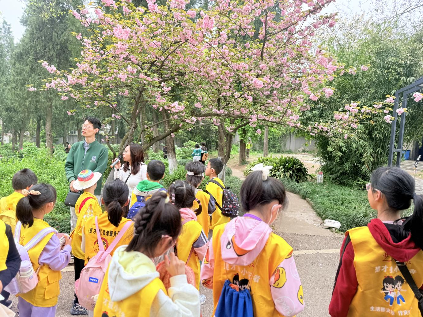 入园2.png 入园2.png