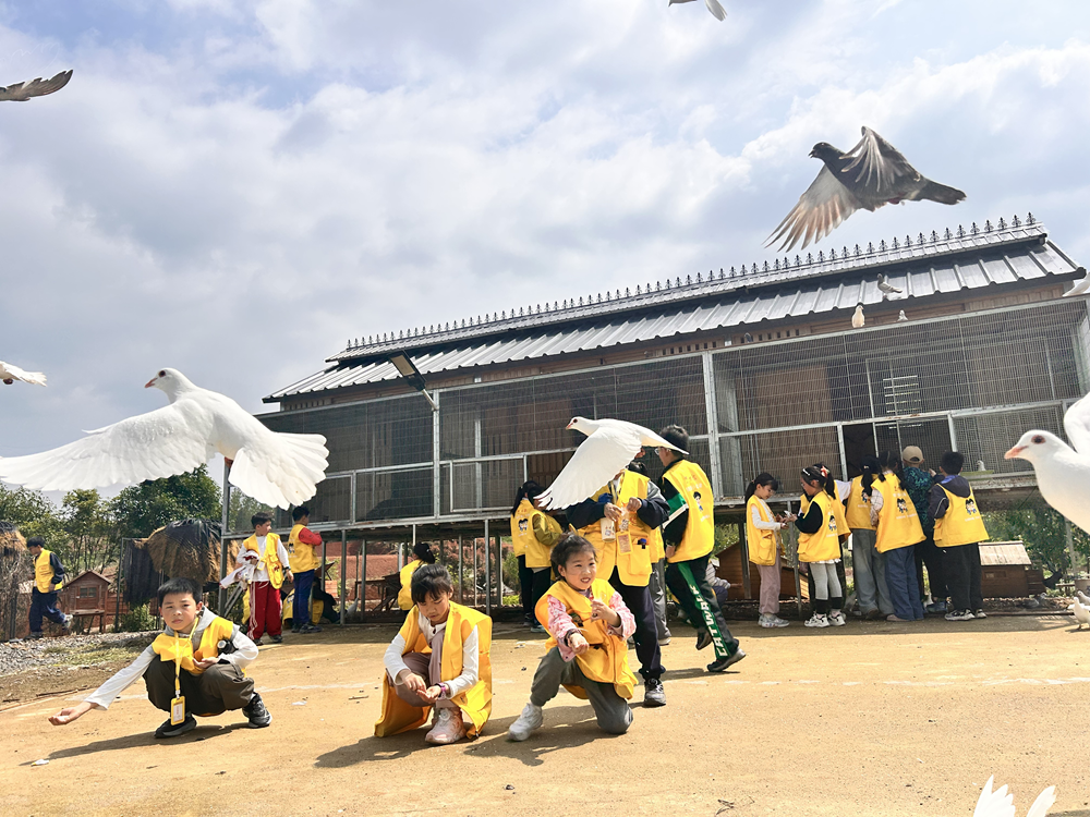 京山研学12.png